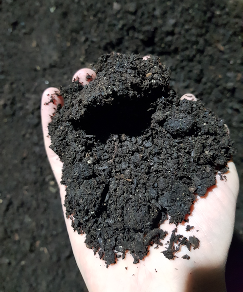 Mushroom Compost – Bulk