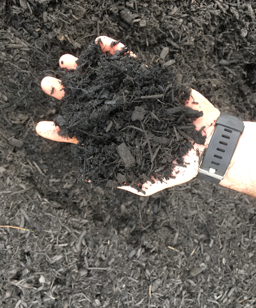 Midnite Black Mulch – Bulk