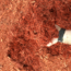 Autumn Red Mulch – Bulk