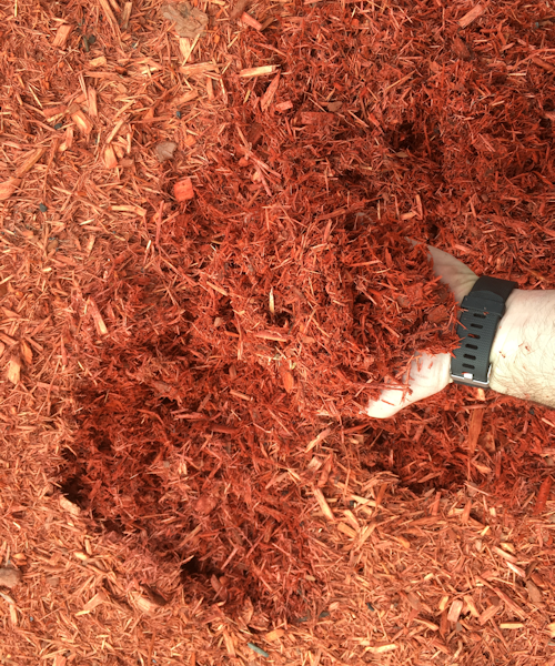 Autumn Red Mulch – Bulk